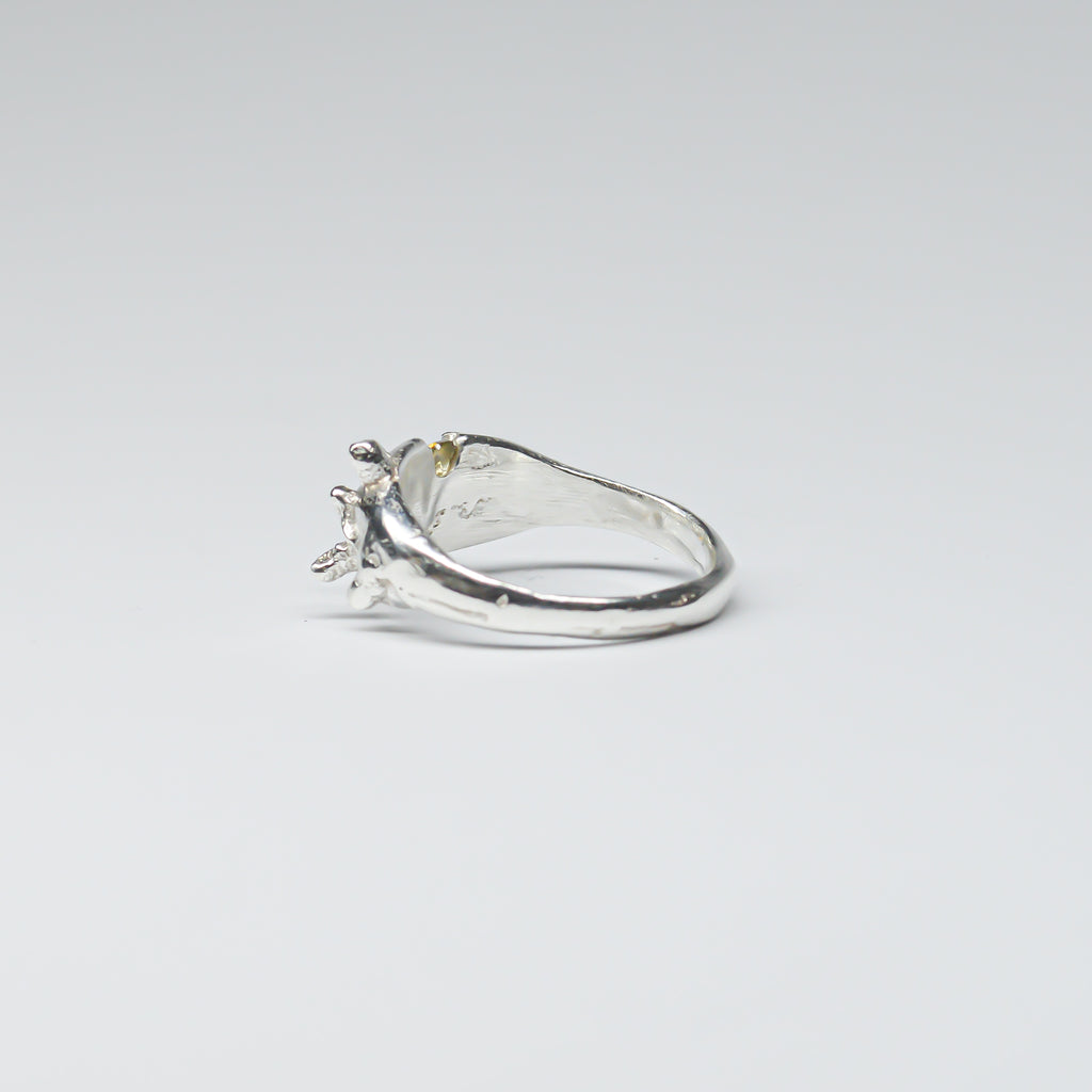 TAPER RING - GREEN AND YELLOW